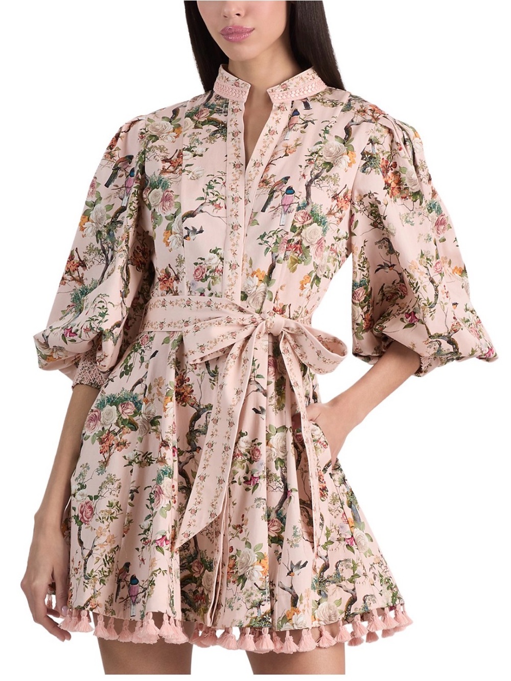 Alice and Olivia Lucy Mini Shirt Dress